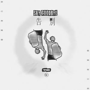 污污污的视频软件免费下载
