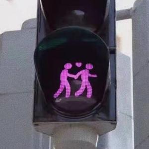 污污污的视频软件免费下载
