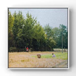 污污污的视频软件免费下载
